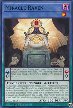 ★受注発送★DUAD-084 Miracle Raven
海外限定