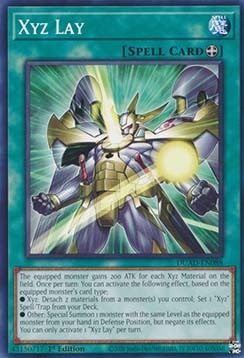 ★受注発送★DUAD-088 Xyz Lay 海外限定